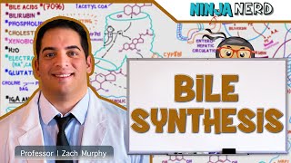 Gastrointestinal  Bile Synthesis [upl. by Theodosia]