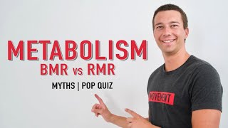 Metabolic Rate Explained  BMR vs RMR [upl. by Coulombe494]