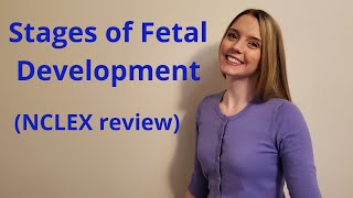 THE STAGES OF FETAL DEVELOPMENT  NCLEX REVIEW [upl. by Atolrac]