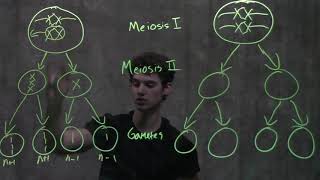 Genetics Nondisjunction amp Meiosis [upl. by Aidul81]