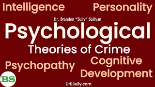 Psychological Theories of Crime  Intelligence Personality Psychopathy Cognitive Development [upl. by Rothschild]