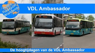 VDL Ambassador Bussen  Buses [upl. by Judd971]