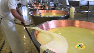 Ciclo produttivo del Parmigiano Reggiano [upl. by Kurland]