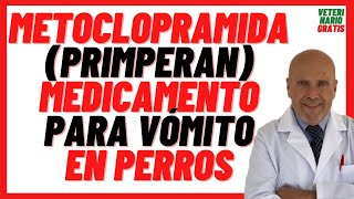 METOCLOPRAMIDA Primperan DOSIS en PERROS 🟣 Medicamento Antiemético para Cortar el VÓMITO en PERROS [upl. by Elmajian]