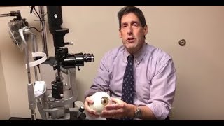 Healing Corneal Abrasions  Dr Alan Mendelsohn [upl. by Hedvige410]