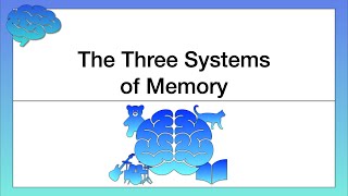 The Three Systems of Memory [upl. by Sallee130]