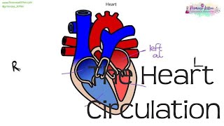 The Heart amp circulation  Biology GCSE and iGCSE [upl. by Lap]