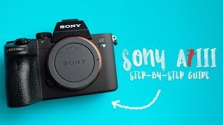 BEST Settings for the SONY A7III  A StepbyStep Guide [upl. by Jaime]