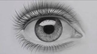 Comment dessiner un Oeil [upl. by Finbar]