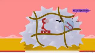 Fibrinolytics Pharmacology [upl. by Aire475]