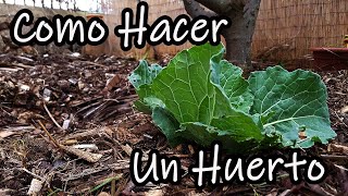 ¿Como Hacer un Huerto desde Cero Explicado Paso a Paso [upl. by Ameh]