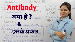 What is Antibody   Types of Antibody  एंटीबॉडी क्या है  एंटीबॉडी के प्रकार  By Manisha Maam [upl. by Ahsinyt]