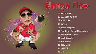 Ñengo Flow Exitos  Ñengo Flow Sus Mejores Éxitos MIX 2021 [upl. by Melcher497]