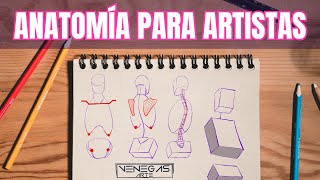 ¡Aprendiendo a dibujar anatomía Nueva Serie [upl. by Mir]