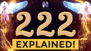 222 Angel Number  REWARDS are Coming YOUR WAY  Spiritual Message Explained [upl. by Litt]