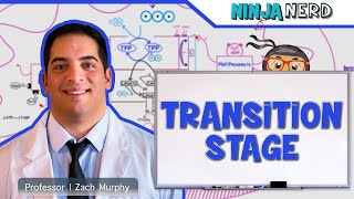 Metabolism  Transition Stage Preparatory Phase [upl. by Roswald]