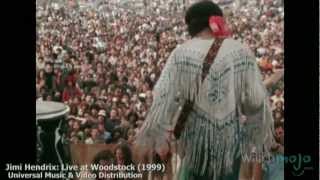 The Life and Career of Jimi Hendrix [upl. by Elvina228]