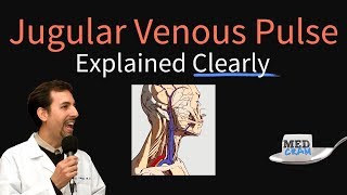 Jugular Venous Pulse JVP Explained Clearly  Evaluation Waveforms Interpretation [upl. by Case]