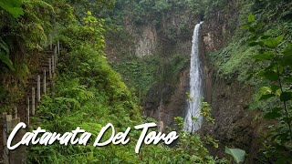 Catarata Del Toro Waterfall in Costa Rica  Alajuela Province [upl. by Ahsenac]