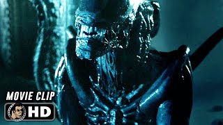 AVP ALIEN VS PREDATOR Clip  quotXenomorph Kills Predatorquot 2004 [upl. by Lledra510]