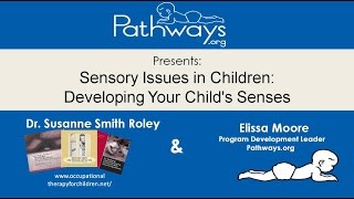 Sensory Issues in Children Developing your Childs Senses [upl. by Dnomaj153]