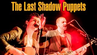 The Last Shadow Puppets  Club 69 Brussels  Full Show 2016 [upl. by Hauck]