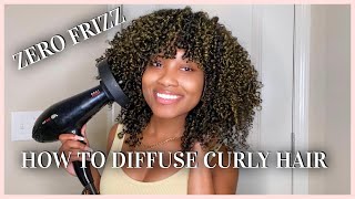 How To Diffuse Natural Curly Hair  NO FRIZZ  Tips amp Tricks [upl. by Milt]