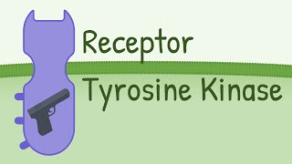 Receptor Tyrosine Kinase  MAPK Pathway [upl. by Yager]