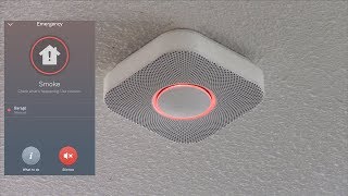 Testing the Nest Protect Smoke Alarm with Fire [upl. by Grosz]