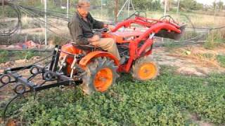 Kubota B6000D trabajando con cultivadores [upl. by Vergne15]