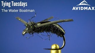 How to tie the Water Boatman  AvidMax Fly Tying Tuesday Tutorials [upl. by Riella709]