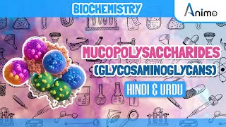 Mucopolysaccharides Glycosaminoglycans  Animation [upl. by Tuck]