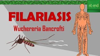 LIFE CYCLE OF Wuchereria Bancrofti biology animals filariasis ntend6435 [upl. by Nathanson]