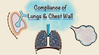 Lung and Chest wall Compliance  Breathing Mechanics  Respiratory Physiology [upl. by Nancie]