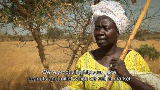 Turning the tide on desertification in Africa 7min43sec version [upl. by Nahtanha746]