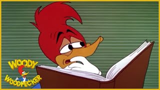 Woody Woodpecker  International Woodpecker  Full Episodes [upl. by Kathrine]