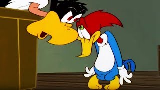 Woody Woodpecker Show  Bad Weather  Full Episode  Videos For Kids [upl. by Dyana141]