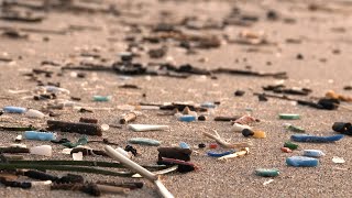 Microplastic pollution [upl. by Rebane]