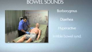 HAL® S3201  Part 9  Bowel sounds [upl. by Olympias]