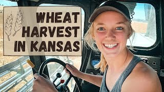 Laura Drives A COMBINE Wheat Harvest 2020 Part 1 [upl. by Vinna743]