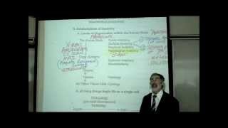 INTRO TO HUMAN ANATOMY by PROFESSOR FINK [upl. by Dorena]