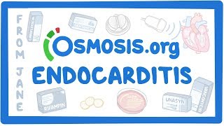 Clinicians Corner Endocarditis [upl. by Nylehtak]