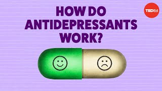 How do antidepressants work  Neil R Jeyasingam [upl. by Tull]