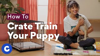 How To Crate Train a Puppy  Chewtorials [upl. by Kinney833]