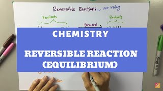 Chemistry  Reversible Reaction Equilibrium [upl. by Snook]