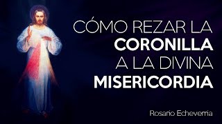 Cómo rezar la Coronilla a la Divina Misericordia [upl. by Atteuqehs604]