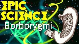 Borborygmi  Epic Science 7 [upl. by Airdnala]