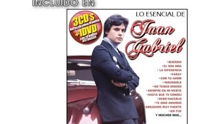 Juan Gabriel  Que Divino Amor Cover AudioVideo [upl. by Yenrab]