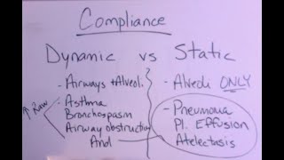 Dynamic vs Static Compliance with Graphics Analysis [upl. by Eirrab]