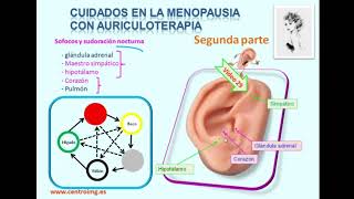 71 Auriculoterapia puntos para la menopausia Segunda parte Curso de auriculoterapia Centro IMG [upl. by Ahsenahs]